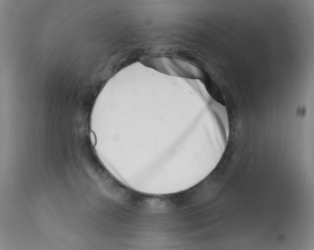 X0000113200272200910221047