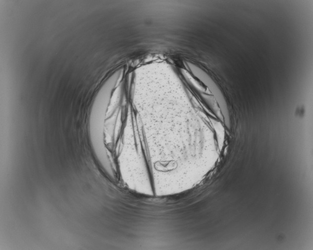 X0000113200273200910221047
