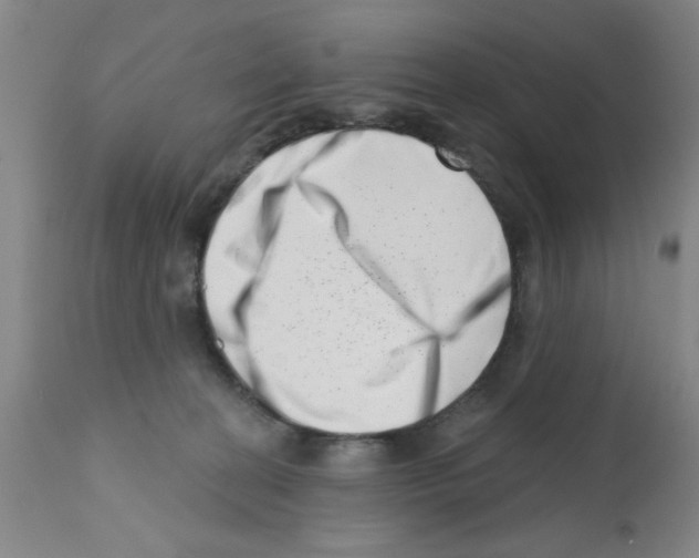X0000113200274200910221047