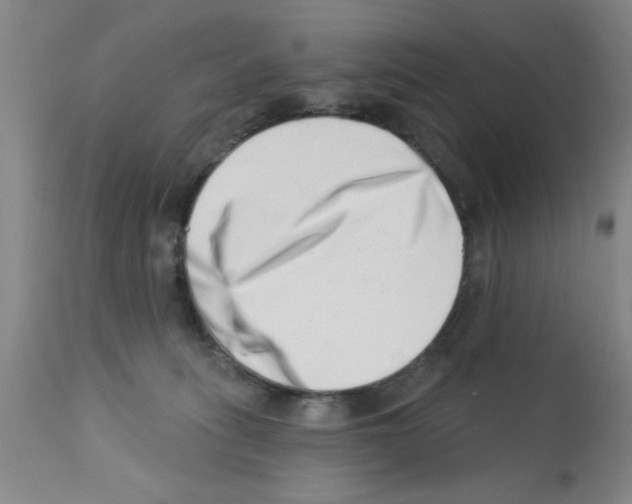 X0000113200275200910221047