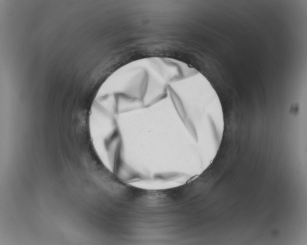 X0000113200278200910221047