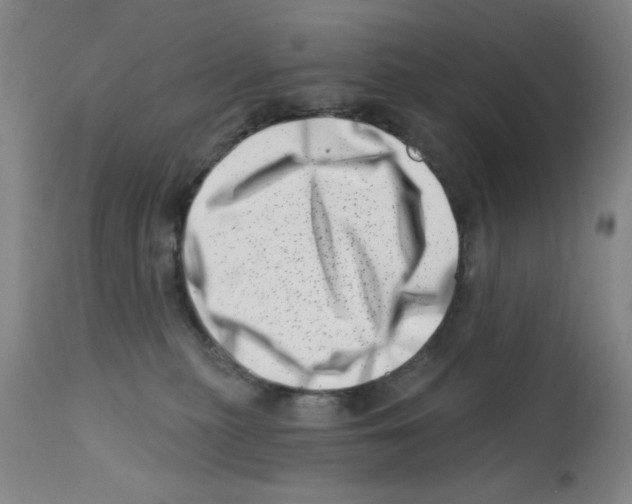 X0000113200279200910221047