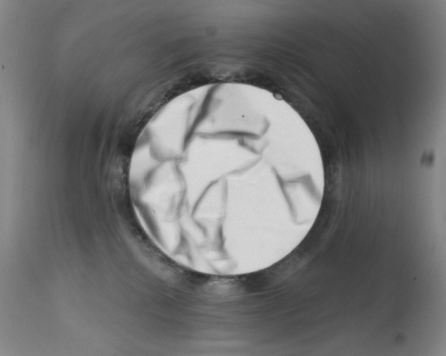 X0000113200280200910221047