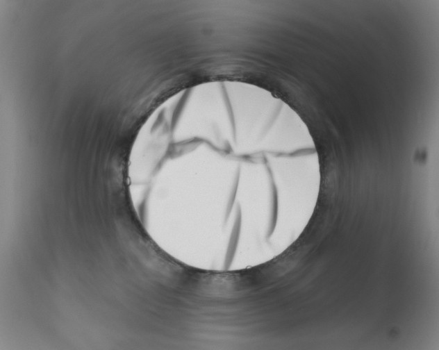 X0000113200282200910221047