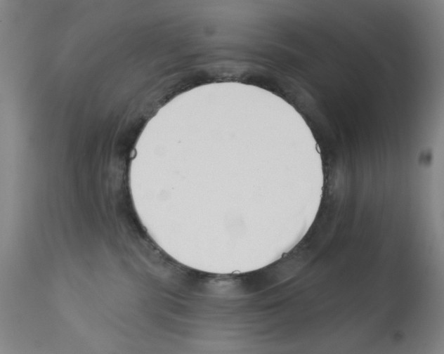 X0000113200283200910221047