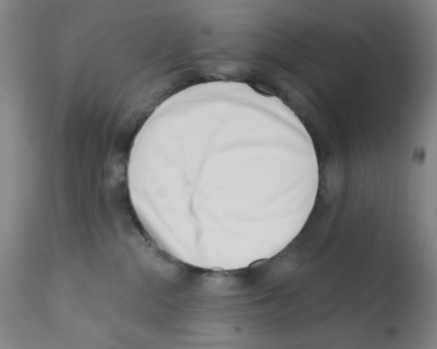 X0000113200284200910221047