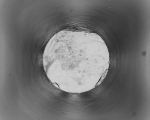 X0000113200285200910221047