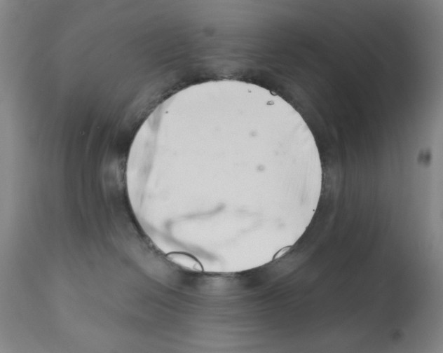 X0000113200286200910221047