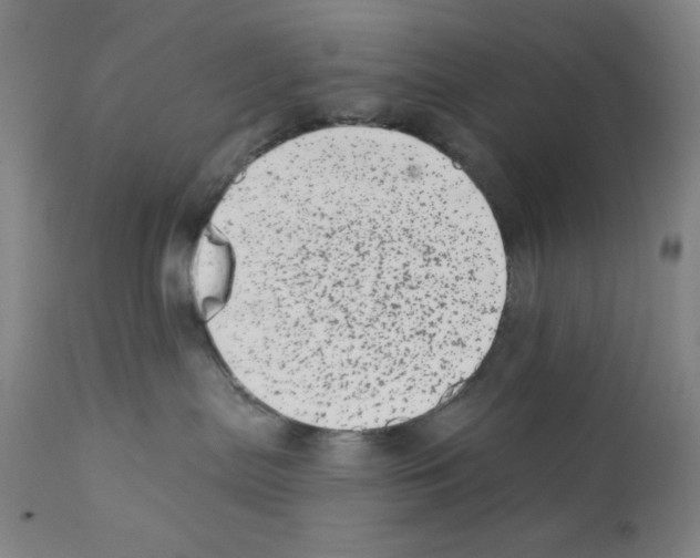 X0000113200287200910221047