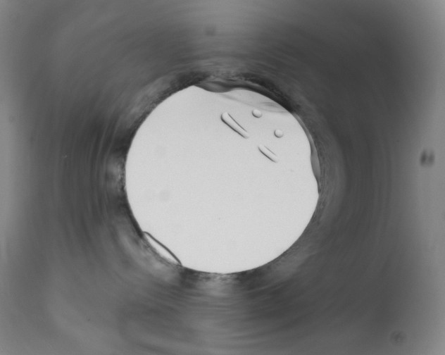 X0000113200288200910221047