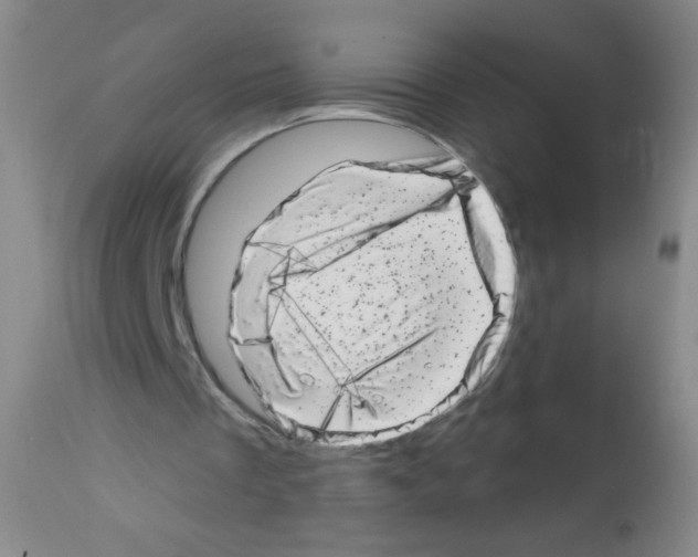 X0000113200289200910221046