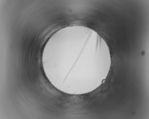 X0000113200290200910221046