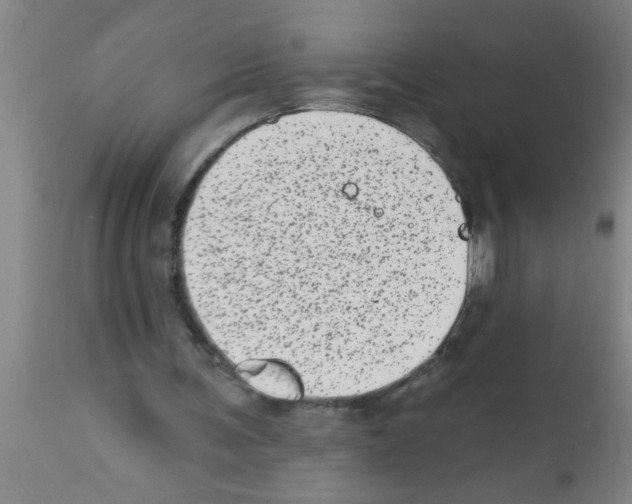 X0000113200291200910221046