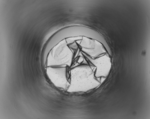 X0000113200292200910221046