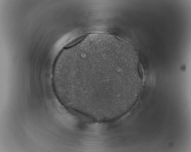 X0000113200293200910221046