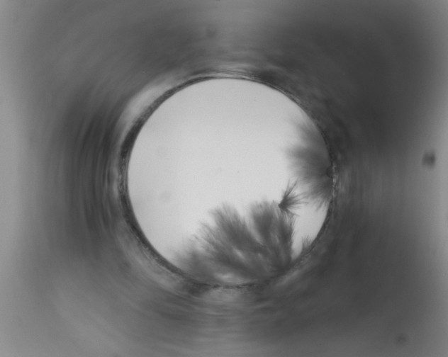 X0000113200294200910221046