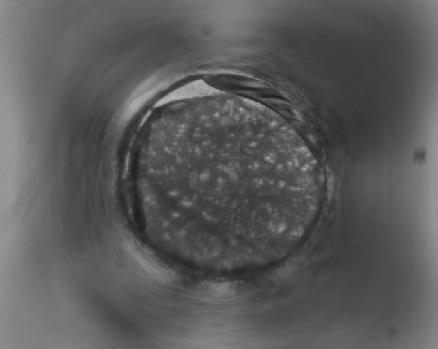 X0000113200295200910221046