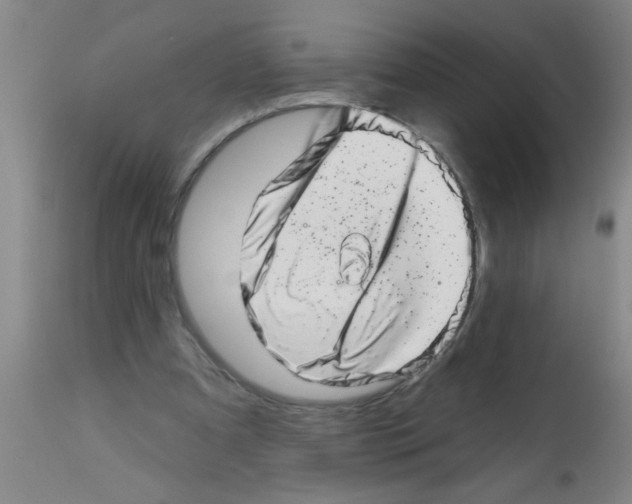 X0000113200297200910221046