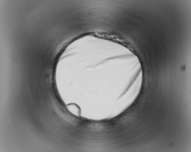 X0000113200299200910221046