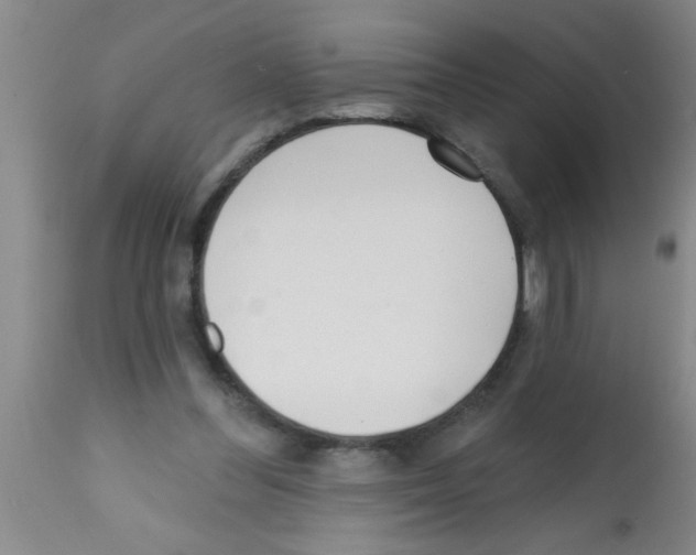 X0000113200300200910221046