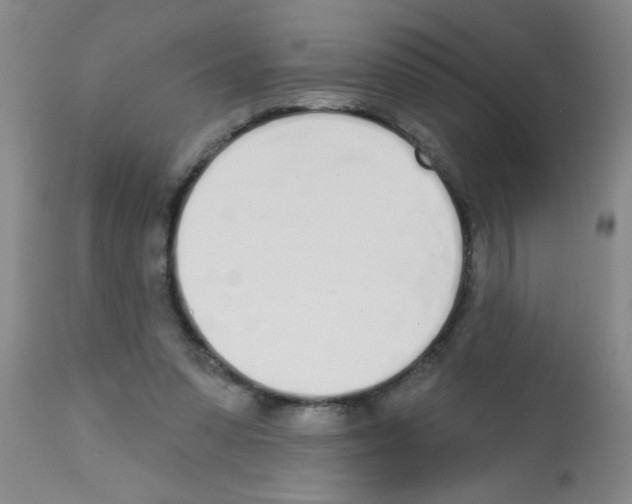 X0000113200303200910221046
