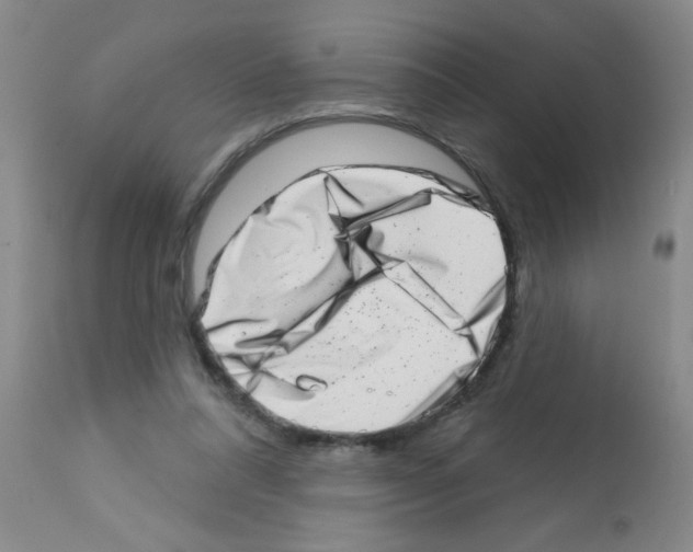 X0000113200304200910221046