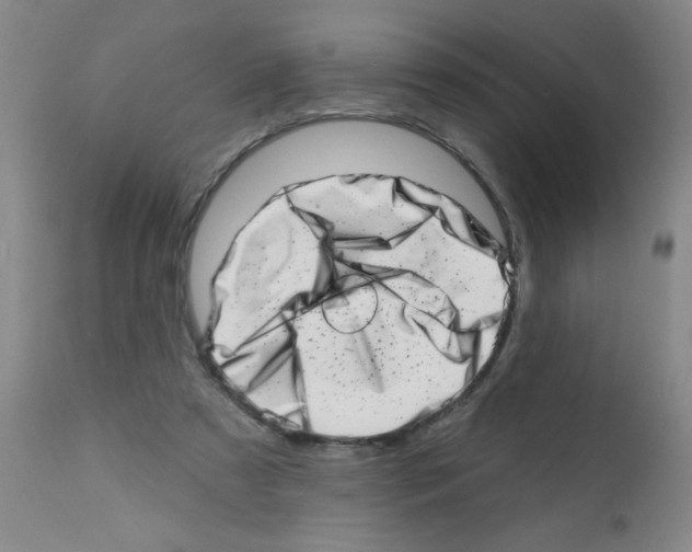 X0000113200305200910221046