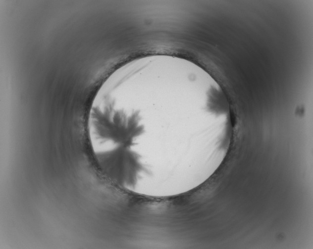 X0000113200306200910221046