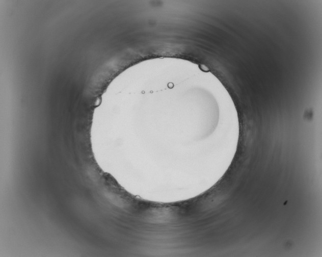 X0000113200307200910221046