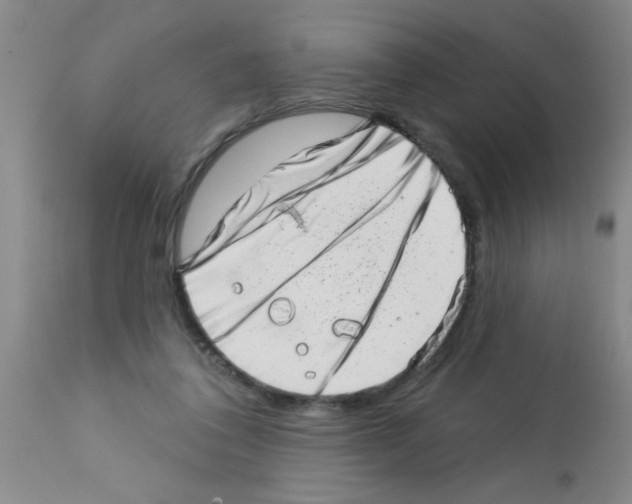 X0000113200308200910221046