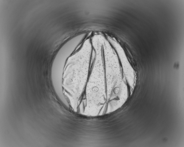 X0000113200309200910221046