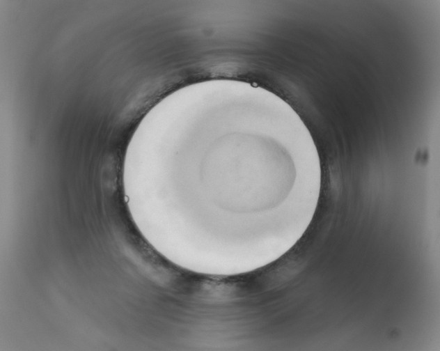 X0000113200311200910221046