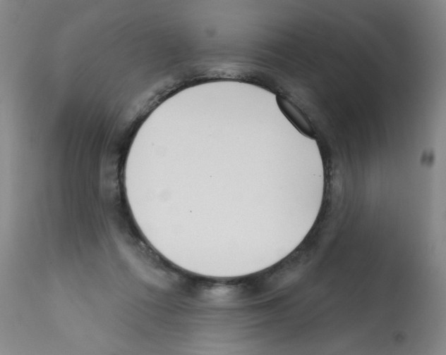 X0000113200312200910221046