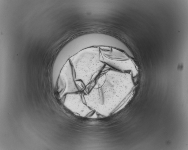 X0000113200313200910221046