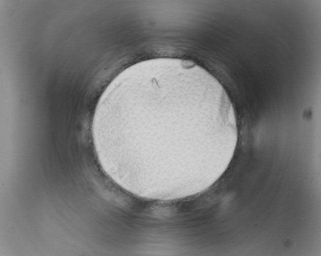 X0000113200314200910221046