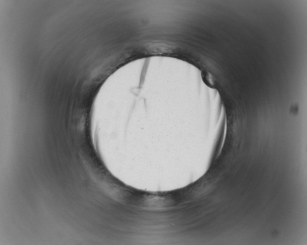 X0000113200315200910221046