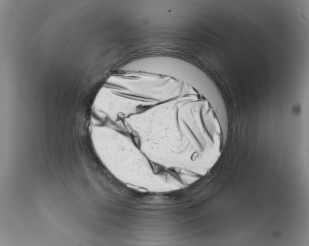 X0000113200316200910221046