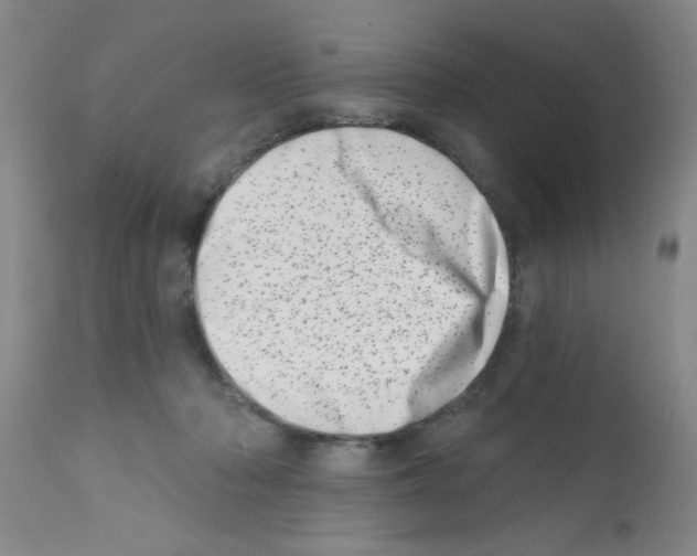 X0000113200318200910221046