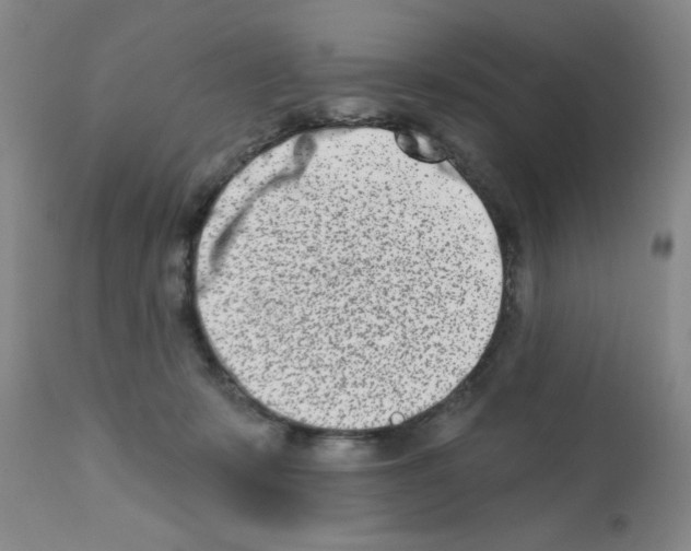X0000113200319200910221046
