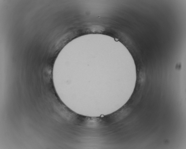 X0000113200321200910221046