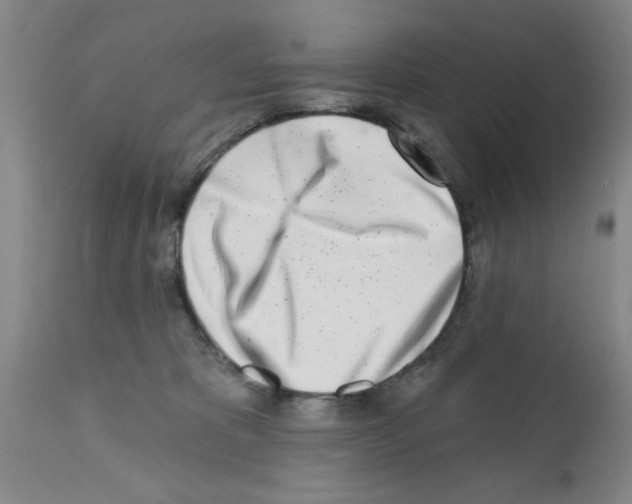 X0000113200325200910221046