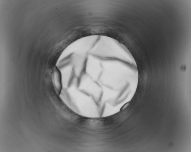 X0000113200327200910221046