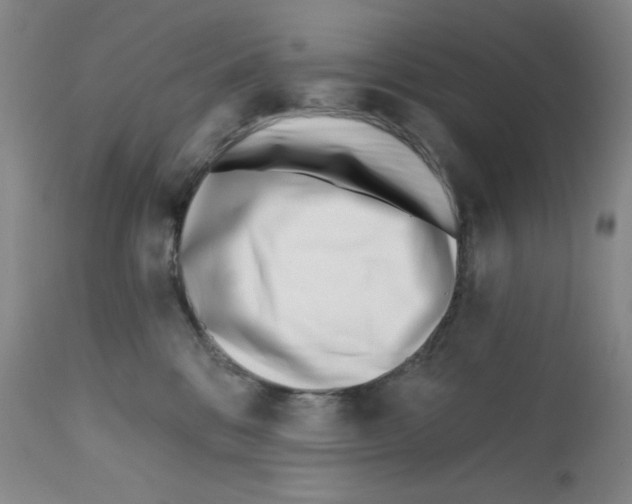 X0000113200328200910221046