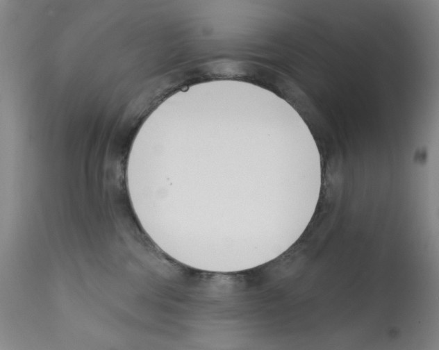 X0000113200330200910221046