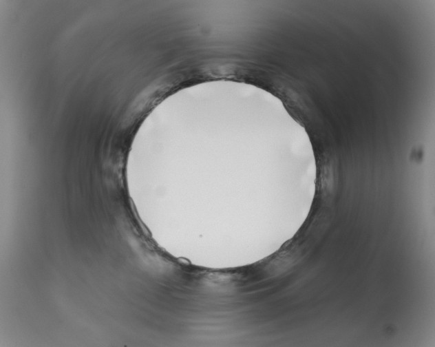 X0000113200332200910221046