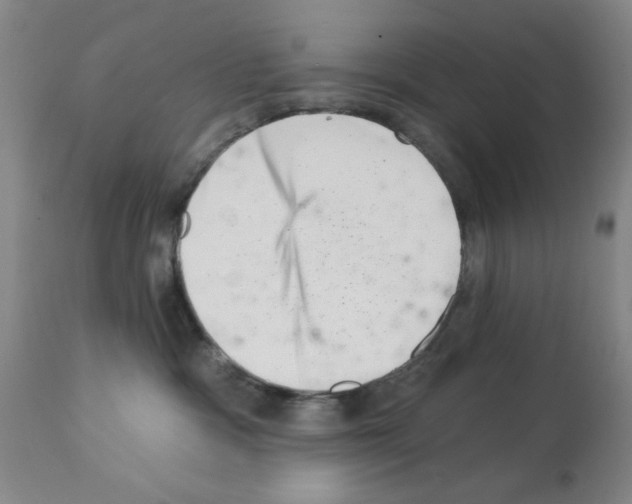 X0000113200333200910221046