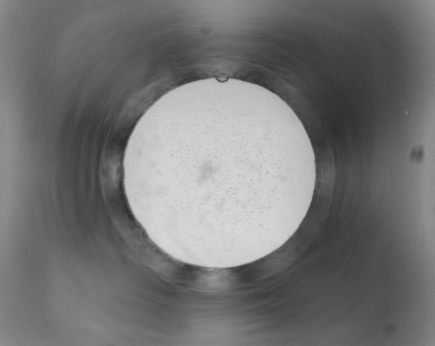 X0000113200334200910221045