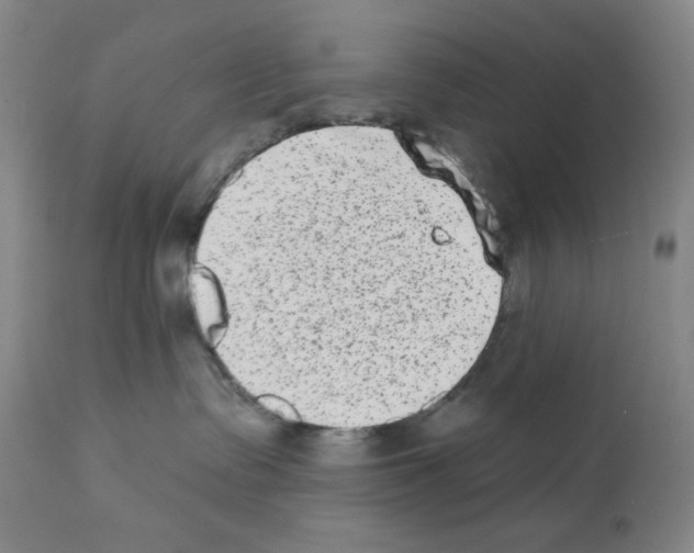 X0000113200335200910221045