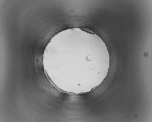X0000113200336200910221045