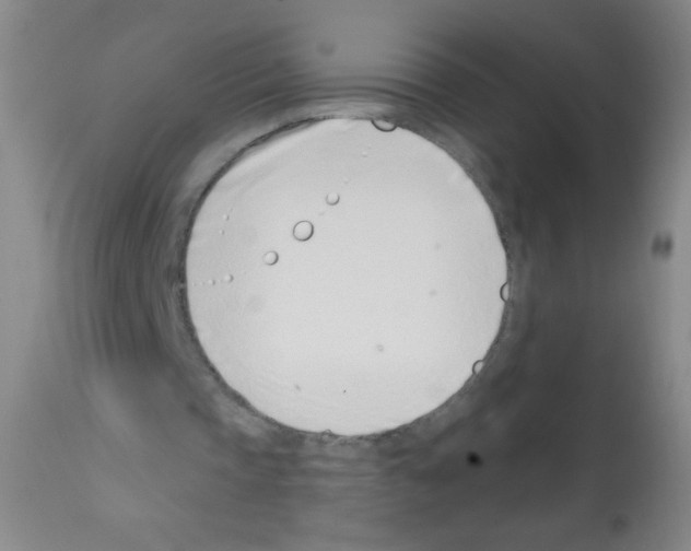 X0000113200337200910221045